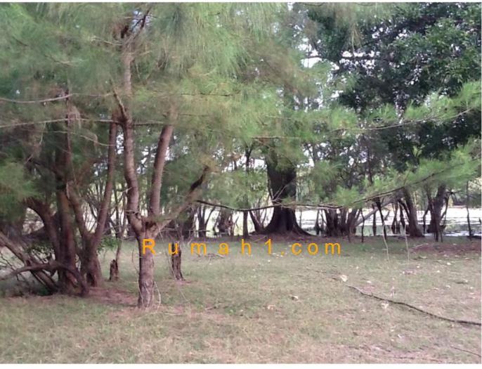 Foto Tanah dijual di Palakahembi, Pandawai, Tanah Id: 6134