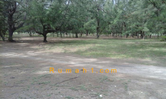 Foto Tanah dijual di Palakahembi, Pandawai, Tanah Id: 6134