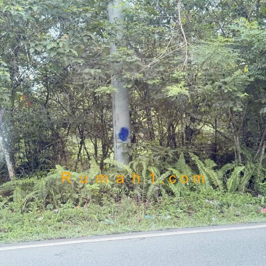 Foto Tanah dijual di Kasiau, Murung Pudak, Tanah Id: 6213