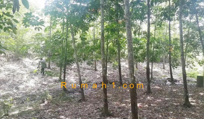 Foto Tanah dijual di Kasiau, Murung Pudak, Tanah Id: 6213