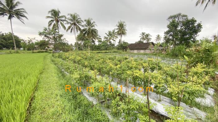 Foto Tanah dijual di Harjo Binangun, Pakem, Tanah Id: 6230