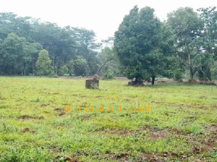 Foto Tanah dijual di Bleber, Cluwak, Tanah Id: 6237