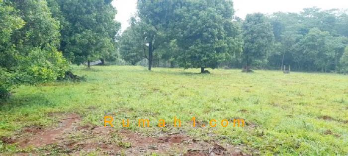 Foto Tanah dijual di Bleber, Cluwak, Tanah Id: 6237