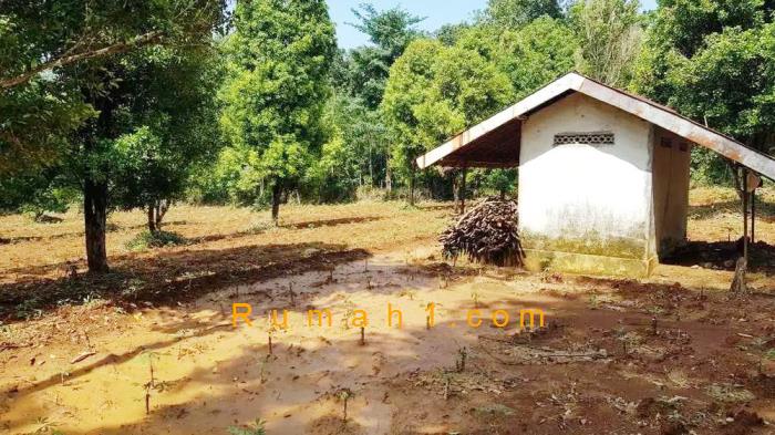 Foto Tanah dijual di Bleber, Cluwak, Tanah Id: 6237