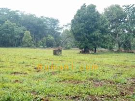 Image tanah dijual di Bleber, Cluwak, Pati, Properti Id 6237