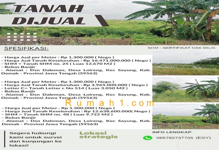 Foto Tanah dijual di Loireng, Sayung, Tanah Id: 6297