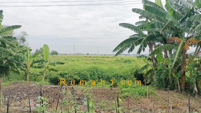 Foto Tanah dijual di Loireng, Sayung, Tanah Id: 6297