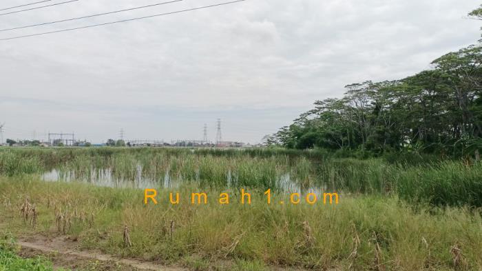 Foto Tanah dijual di Loireng, Sayung, Tanah Id: 6297