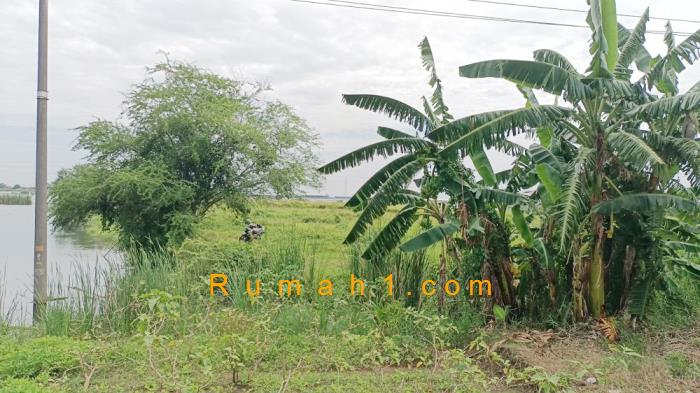 Foto Tanah dijual di Loireng, Sayung, Tanah Id: 6297