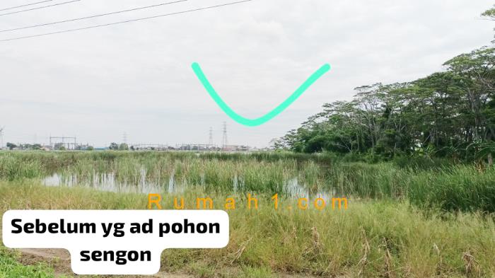 Foto Tanah dijual di Loireng, Sayung, Tanah Id: 6297