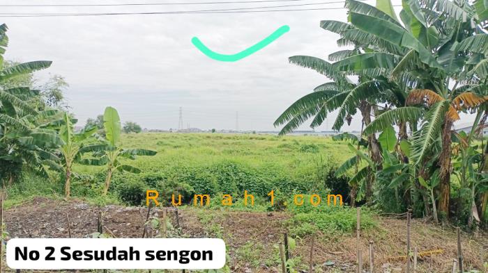 Foto Tanah dijual di Loireng, Sayung, Tanah Id: 6297