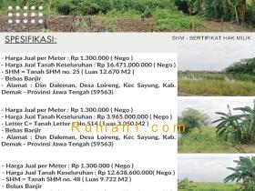 Image tanah dijual di Loireng, Sayung, Demak, Properti Id 6297