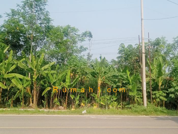 Foto Tanah dijual di Sukarame, Sajira, Tanah Id: 6357