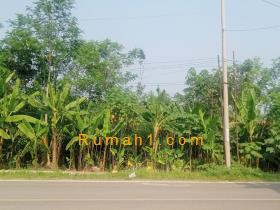 Image tanah dijual di Sukarame, Sajira, Lebak, Properti Id 6357