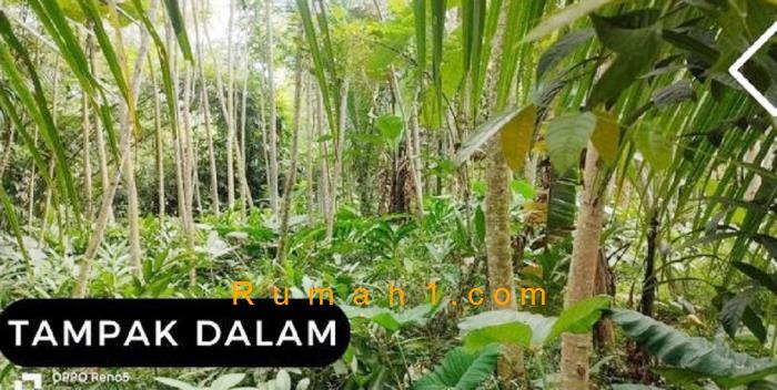 Foto Tanah dijual di Tampingan, Tegalrejo, Tanah Id: 6396