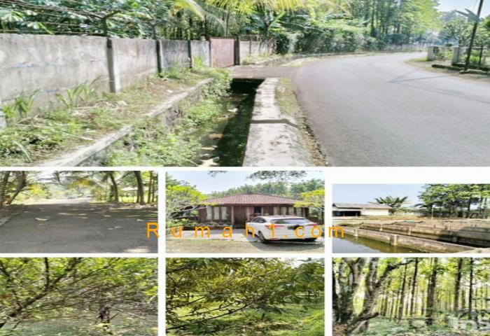 Foto Tanah dijual di Tegal Waru, Ciampea, Tanah Id: 6443