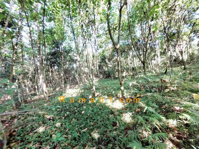 Foto Tanah dijual di Gelam, Cipocok Jaya, Tanah Id: 6454