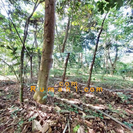 Foto Tanah dijual di Gelam, Cipocok Jaya, Tanah Id: 6454