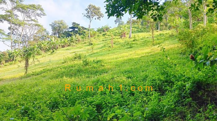 Foto Tanah dijual di Campang Raya, Sukabumi, Tanah Id: 6489