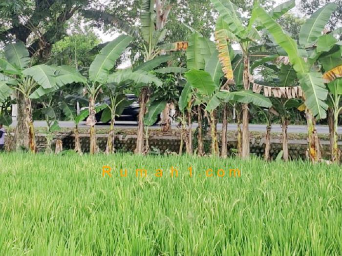 Foto Tanah dijual di Kapuran, Badegan, Tanah Id: 6525