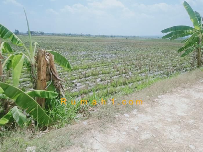 Foto Tanah dijual di Semanding, Bojonegoro, Tanah Id: 6534