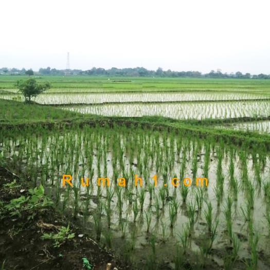 Foto Tanah dijual di Ciborelang, Jatiwangi, Tanah Id: 6535