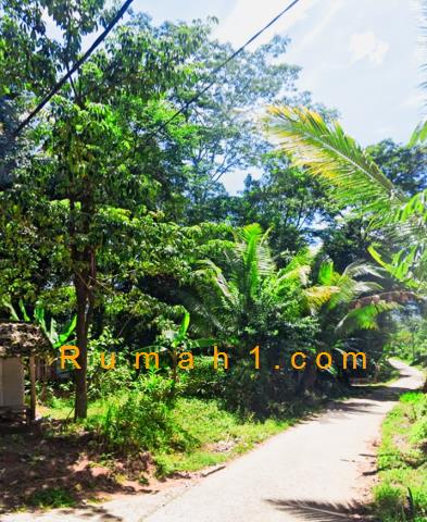 Foto Tanah dijual di Kubang Baros, Cinangka, Tanah Id: 6563