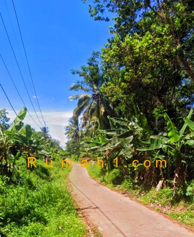 Foto Tanah dijual di Kubang Baros, Cinangka, Tanah Id: 6563