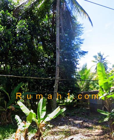 Foto Tanah dijual di Kubang Baros, Cinangka, Tanah Id: 6563