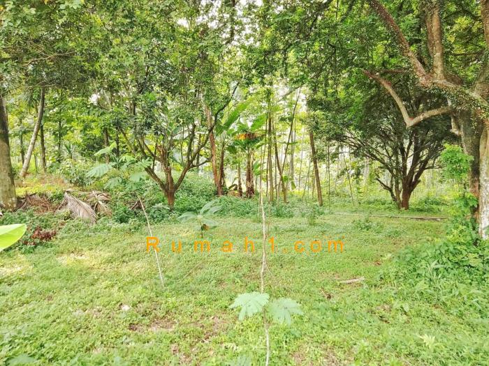 Foto Tanah dijual di Mulyasari, Mande, Tanah Id: 6570