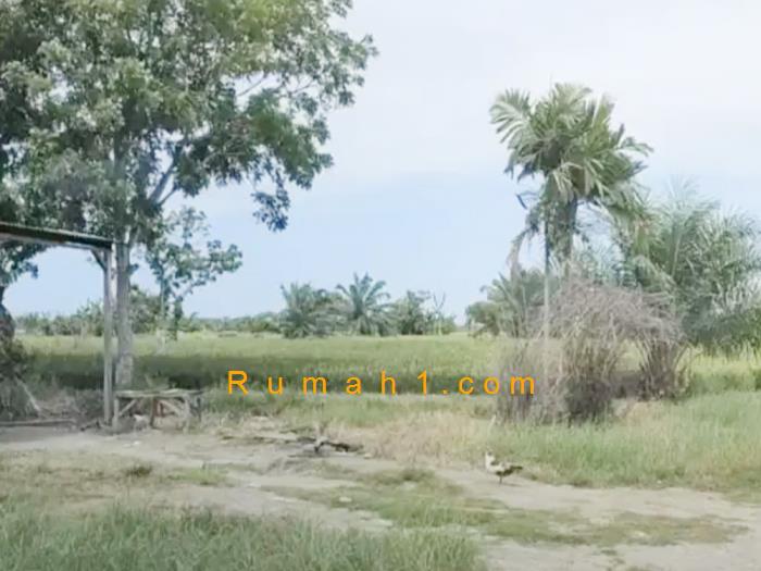 Foto Tanah dijual di Tanjung Rejo, Percut Sei Tuan, Tanah Id: 6600