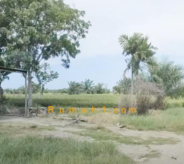 Foto Tanah dijual di Tanjung Rejo, Percut Sei Tuan, Tanah Id: 6600