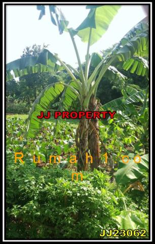 Foto Tanah dijual di Curug Permai Bogor, Tanah Id: 6730