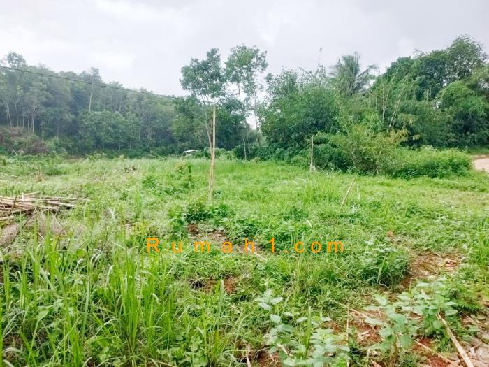 Foto Tanah dijual di Tegal Wangi, Jasinga, Tanah Id: 6768