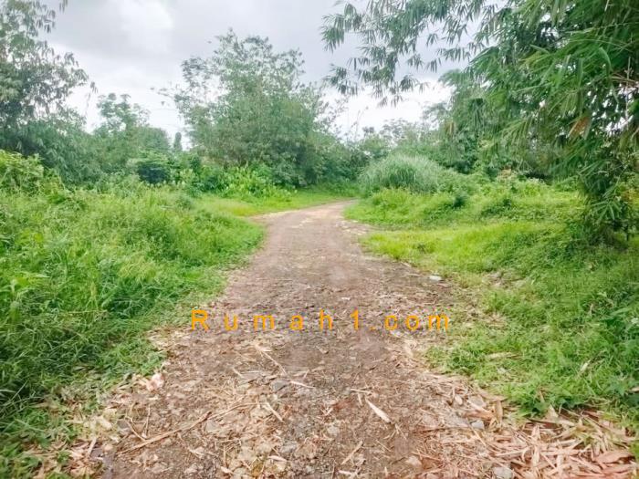 Foto Tanah dijual di Tegal Wangi, Jasinga, Tanah Id: 6768