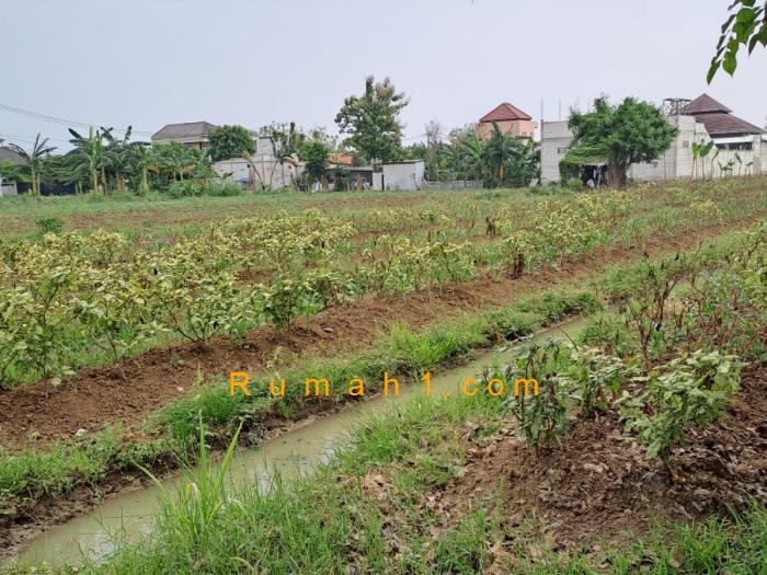 Foto Tanah dijual di Sukarukun, Sukatani, Tanah Id: 6869