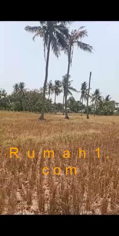 Foto Tanah dijual di Sukatenang, Sukawangi, Tanah Id: 6873